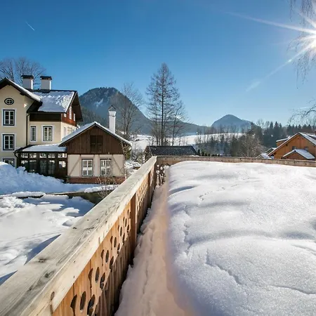 Rosen Der Liechtenstein - Your Austrian