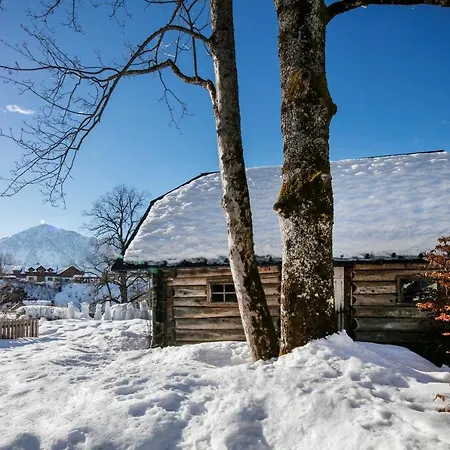Villa Rosen Der Liechtenstein - Your Austrian *