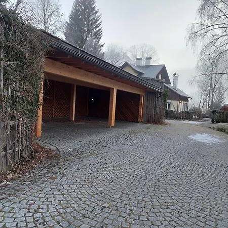 Rosen Der Liechtenstein - Your Austrian