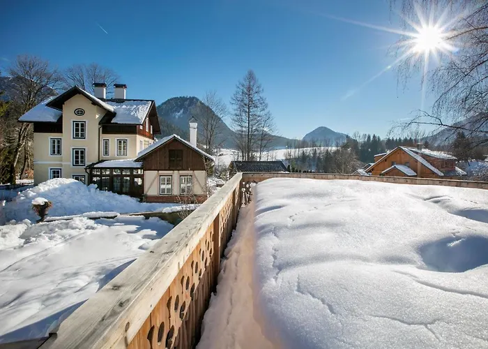 Rosen Der Liechtenstein - Your Austrian