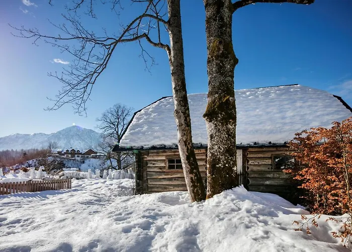 Villa Rosen Der Liechtenstein - Your Austrian *