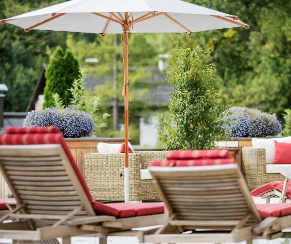 Rosen Der Liechtenstein - Your Austrian