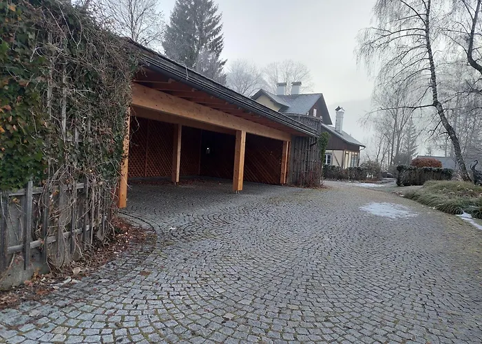 Rosen Der Liechtenstein - Your Austrian